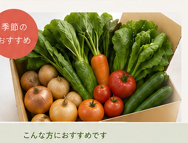 旬の野菜セット
